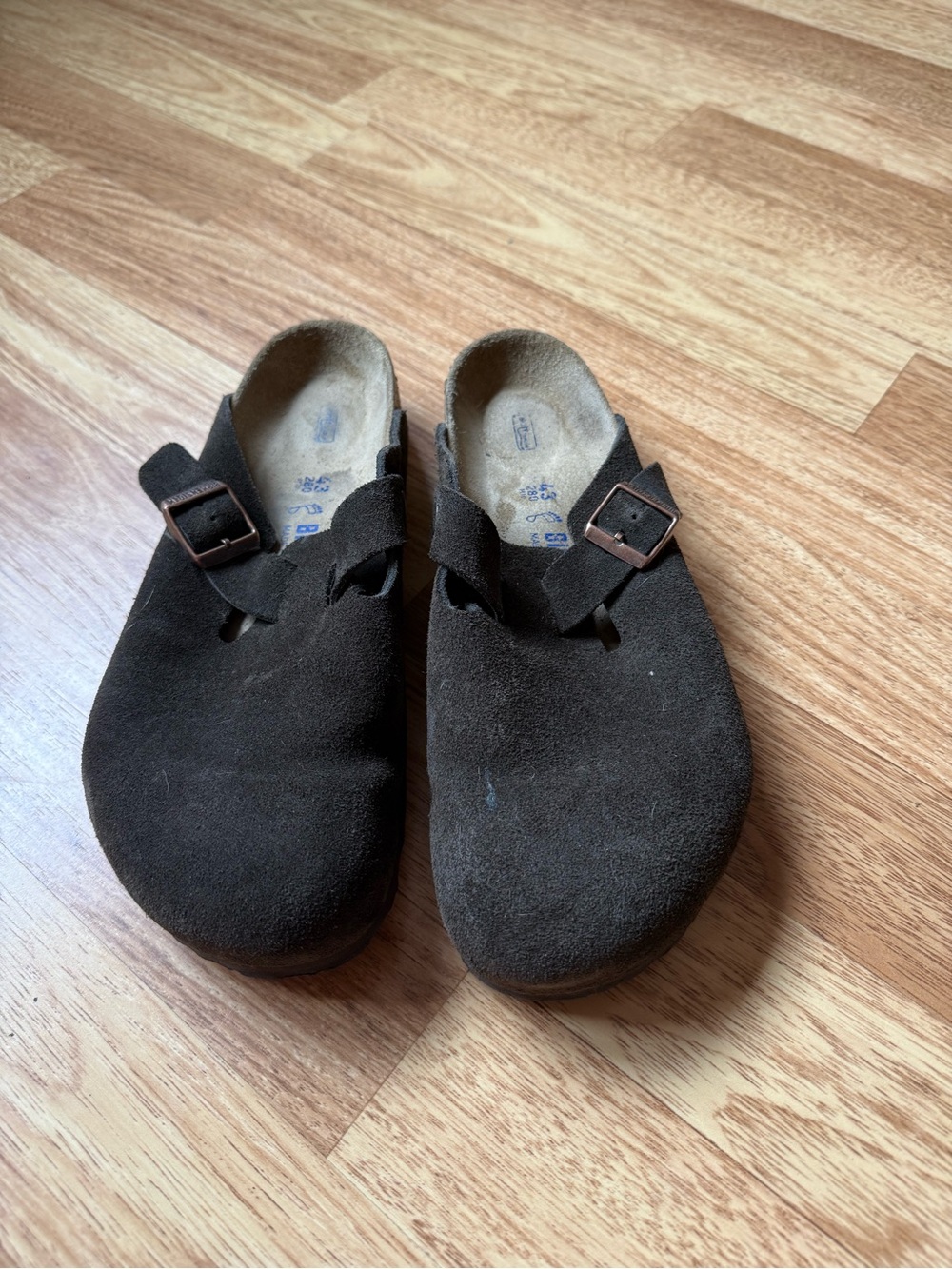 Birkenstock Dark Brown Suede Slip-On Clog with Buckle
